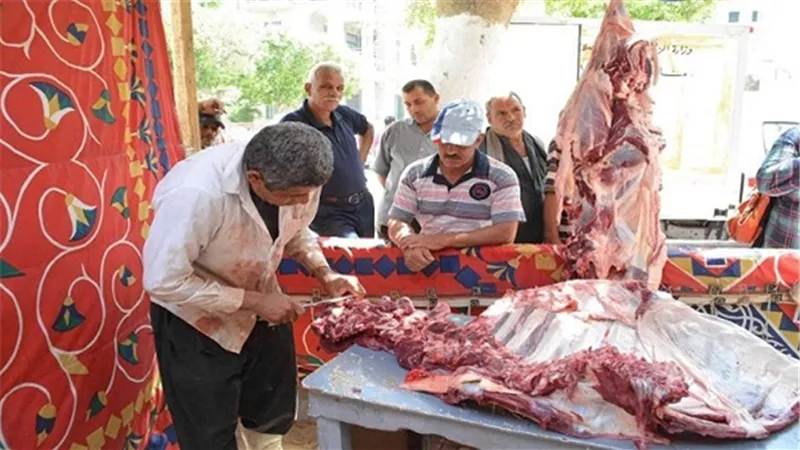 افتتاح منافذ بيع جديدة للحوم لضبط الأسعار بالمنيا