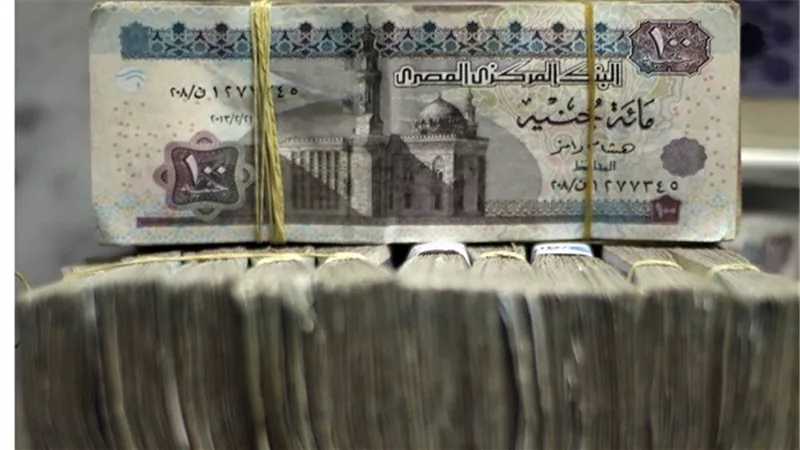 ارتفاع أرباح 
