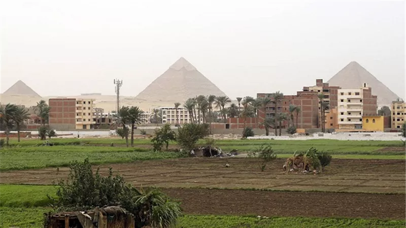 1.1 مليون جنيه أرباح 