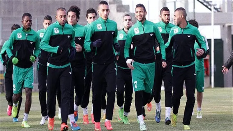 بالفيديو.. 