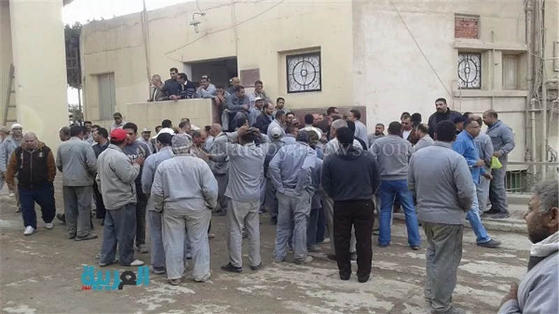 اشتعال أزمة الشركة المالية بكفر الزيات.. والعمال يعلنون الاعتصام
