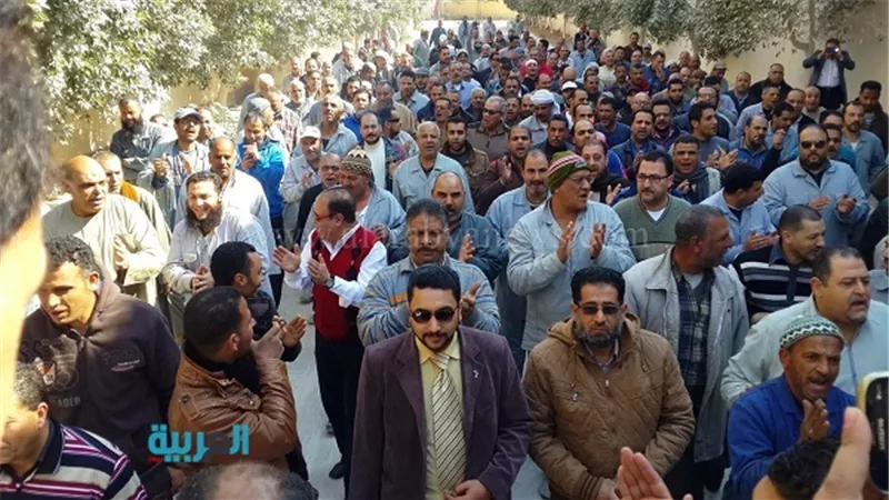 بالصور.. استمرار اعتصام عمال 