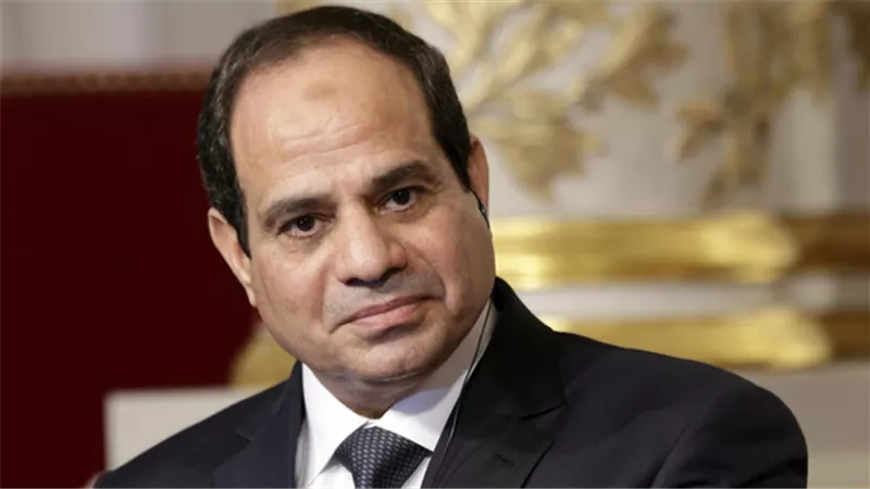 السيسي يبحث مع رؤساء عدة شركات كورية زيادة الاستثمارات في مصر
