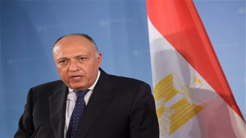 وزير الخارجية: مصر تشارك في التحالف العربي باليمن لتحقيق 
