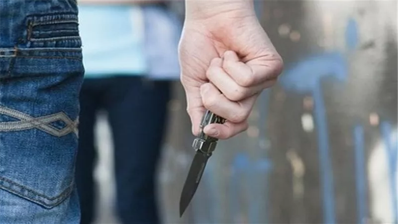 سائق يقتل زميله في الغربية بسبب خلافات مالية