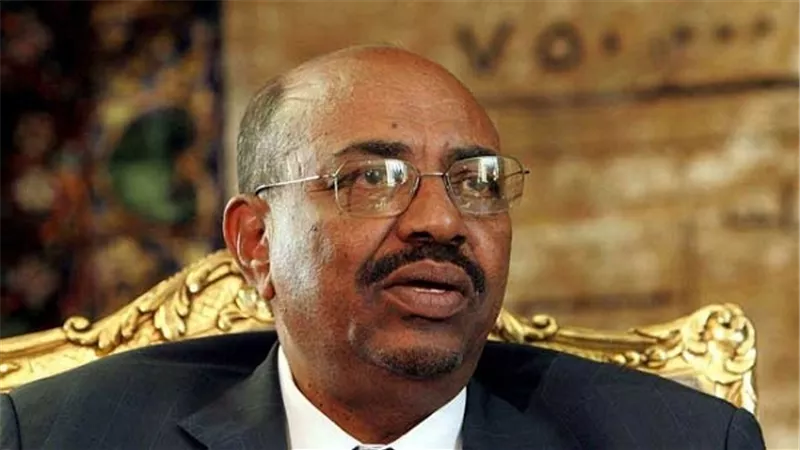 بالفيديو.. 
