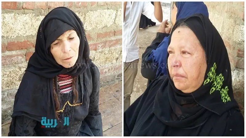 بالصور.. 