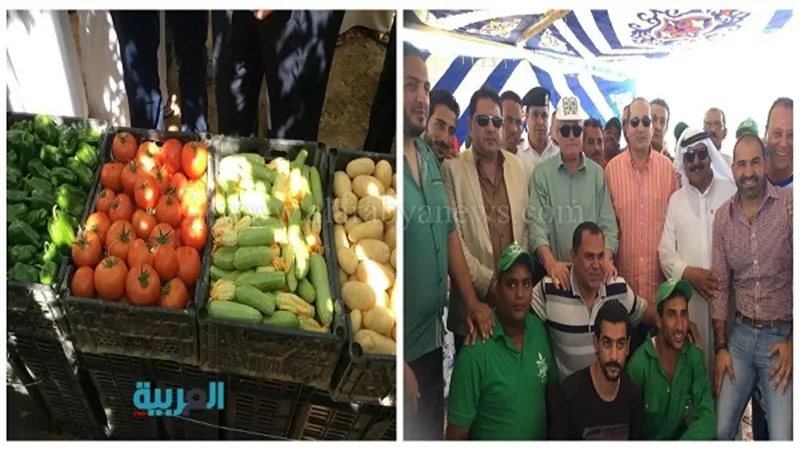 ​​وزير الزراعة يكلف هيئة التعمير بإيجاد آلية لتقنين أراضي جنوب سيناء.. خطة طموحة لتحويل 