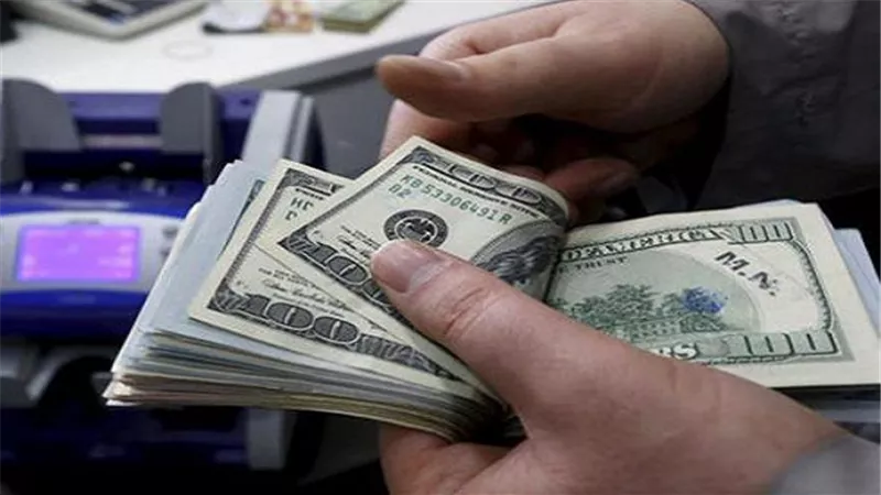 خبير اقتصادي: صقور البيت الأبيض في مصر وراء أزمة 