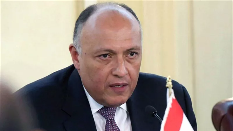 سامح شكري: مصر ترفض تدخل إيران في المنطقة العربية