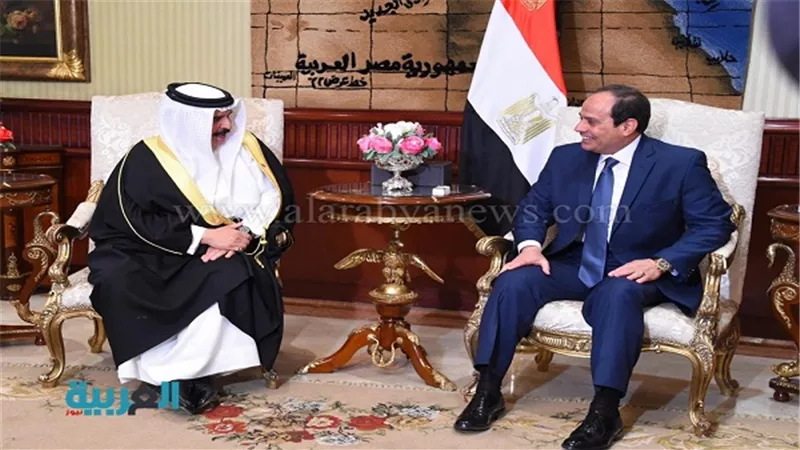 بالفيديو.. السيسي يرحب بـ