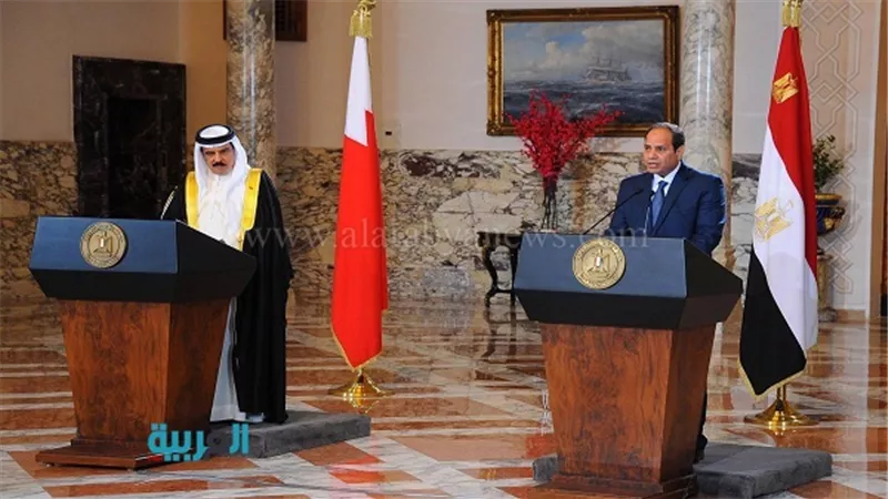 بالفيديو.. 