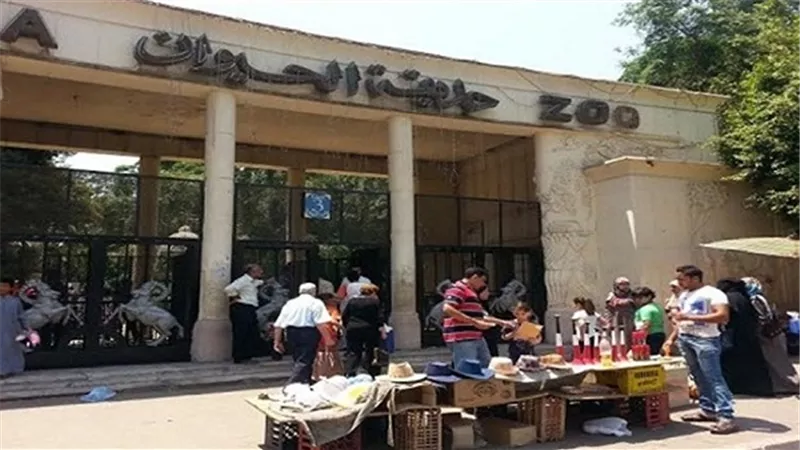 بانوراما لـ