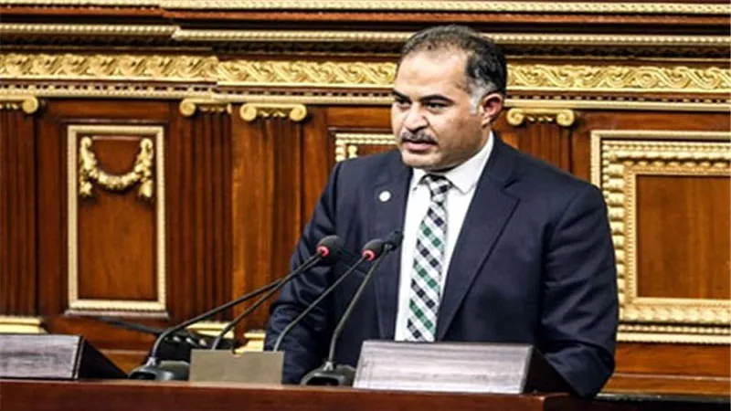 بالفيديو.. وكيل مجلس النواب: تمثيل رجال الأعمال بالبرلمان 