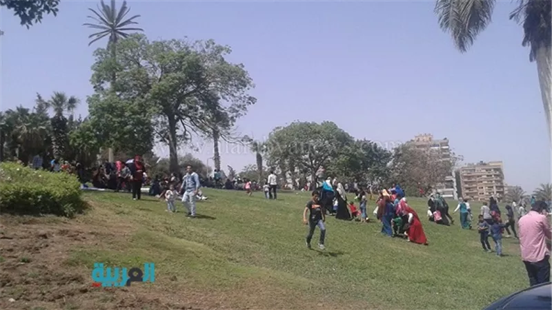 رئيس 