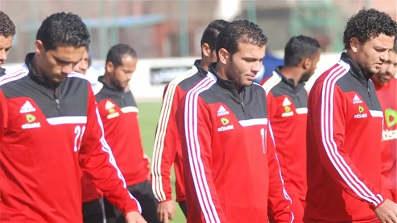 بالفيديو.. 