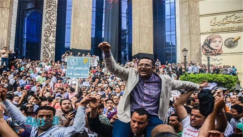 بالصور.. 