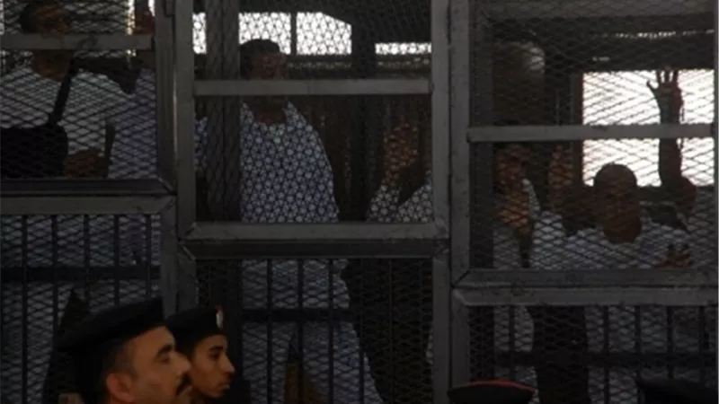 شاهد 