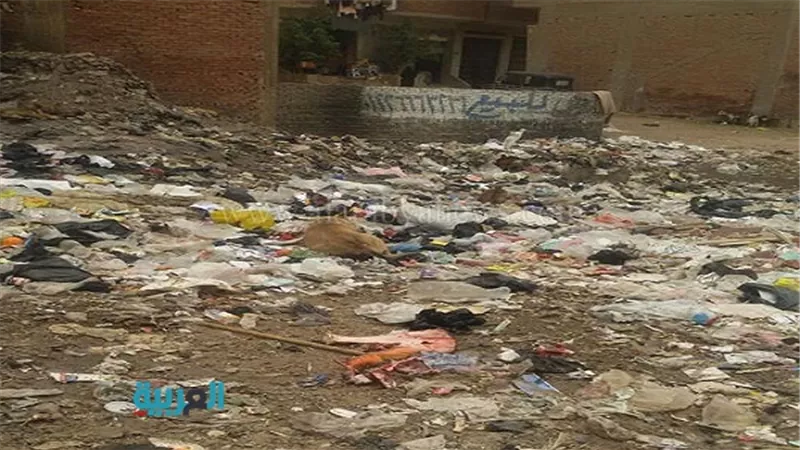 بالصور.. مدرسة السماح الخاصة بالمنيب تتحول لبركة صرف صحي