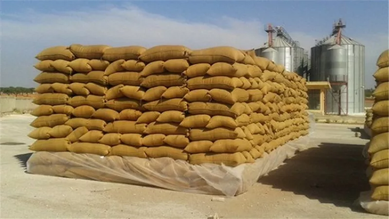 فتح 6 شون جديدة لاستقبال محصول القمح بالغربية