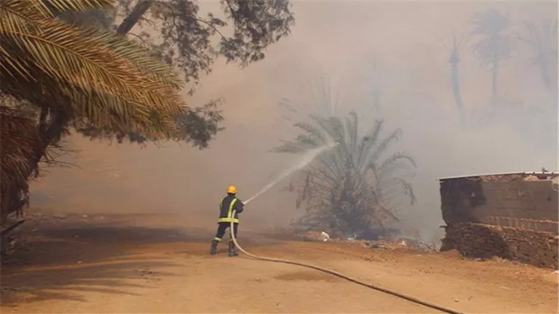 حريق بالواحات يلتهم 3 آلاف نخلة والخسائر تتعدى الملايين