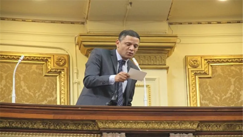 شاهد.. برلماني: نعمل على تعديل المادة 37 من الدستور