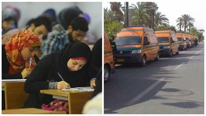 ننشر استعدادات جامعة القاهرة لامتحانات نهاية العام.. توفير سيارات إسعاف مجهزة بجوار اللجان.. والتدخين بها ممنوع