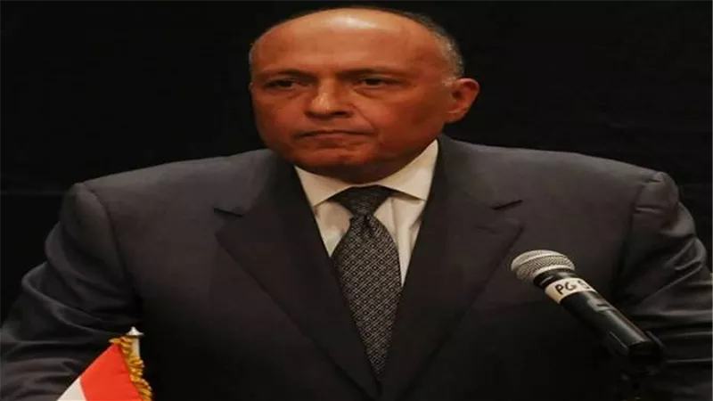 الجيش الإسرائيلي: تعاون بين مصر وإسرائيل لمكافحة الإرهاب