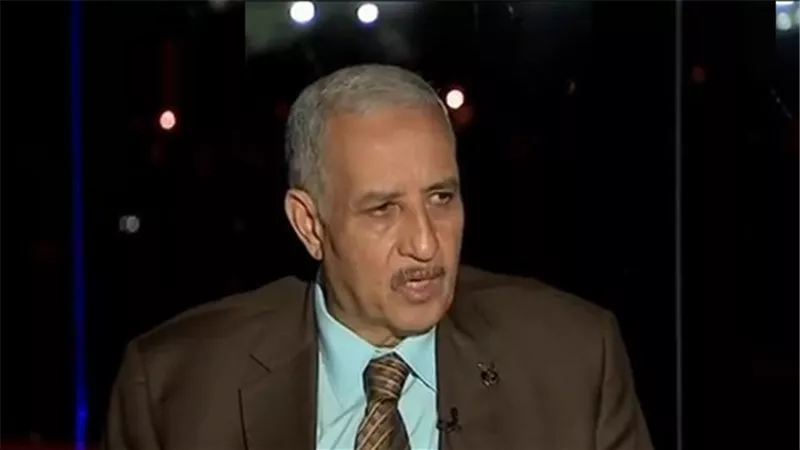خبير عسكري: الضغط على القوات المسلحة عبء ونحتاج رفع همم الوزارات