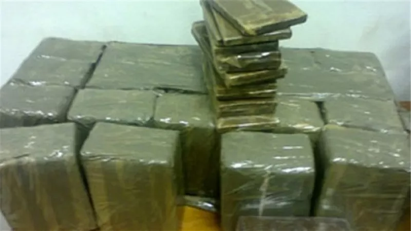 حبس عاطلين لحيازتهما 52 طربة حشيش ببولاق الدكرور