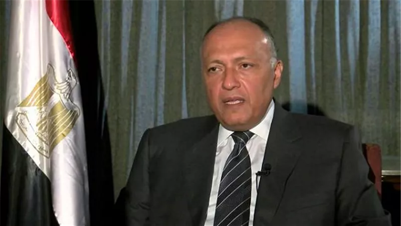 وزير الخارجية: مصر استعادت دورها الدولي بعد 30 يونيو