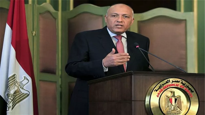 سامح شكري: 