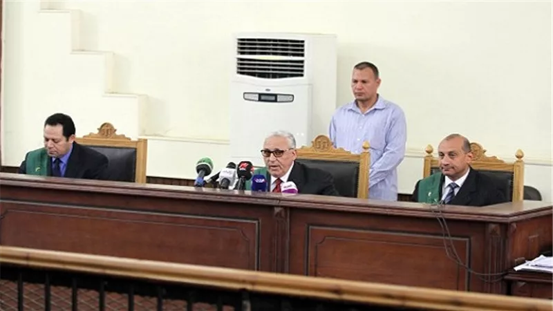 تأجيل نظر دعوى النفقة من طليقة نجل هالة فاخر لـ 4 يونيو