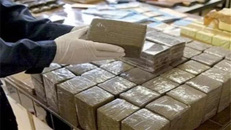 شرطة النقل تضبط 15 قضية مخدرات و156 بائعًا متجولًا