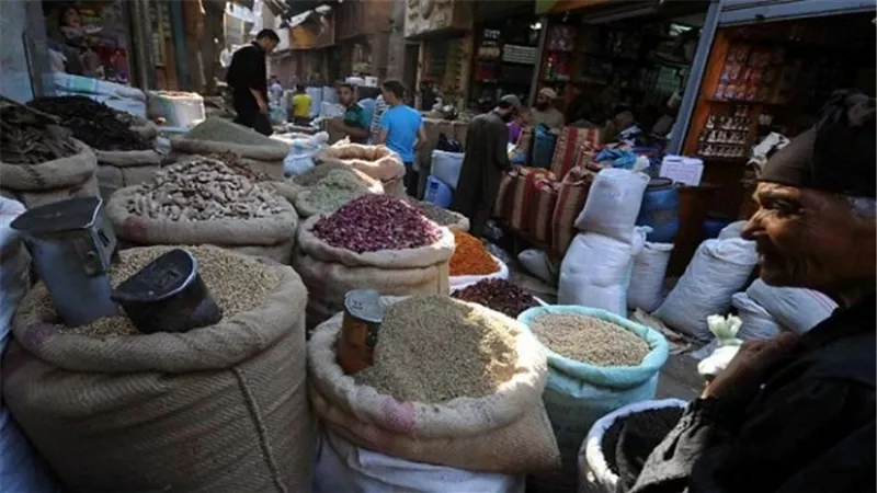 العدس الأصفر يسجل 18 جنيهًا بالمنيا
