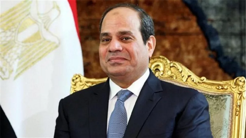 نائبة برلمانية: السيسي يضع محدودي الدخل نصب عينيه