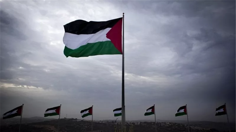 بالفيديو.. 
