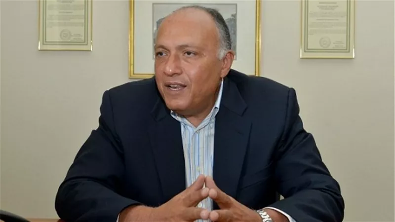 وزير الخارجية: مصر تدعم المسار السياسي في سوريا وليبيا