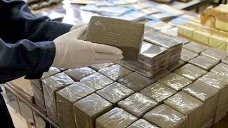 ضبط عاطلين لاتجارهما في المواد المخدرة بحدائق القبة