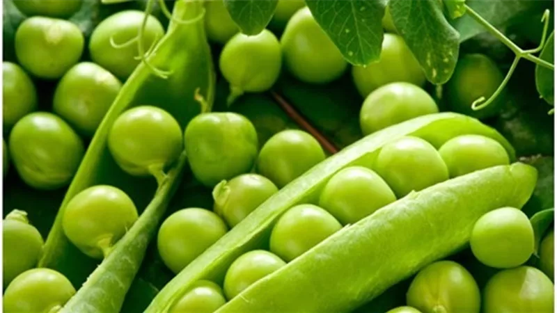 البسلة تسجل 3 جنيهات بالقاهرة