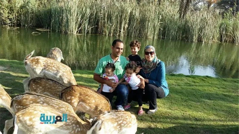 بالصور.. حكاية 3 أطفال في انتظار عودة والديهما من رحلة الطائرة المنكوبة