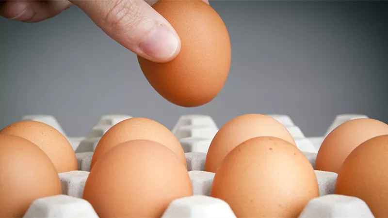 30 جنيهًا لكرتونة البيض الأحمر بالإسكندرية.. وبـ29 في أسوان