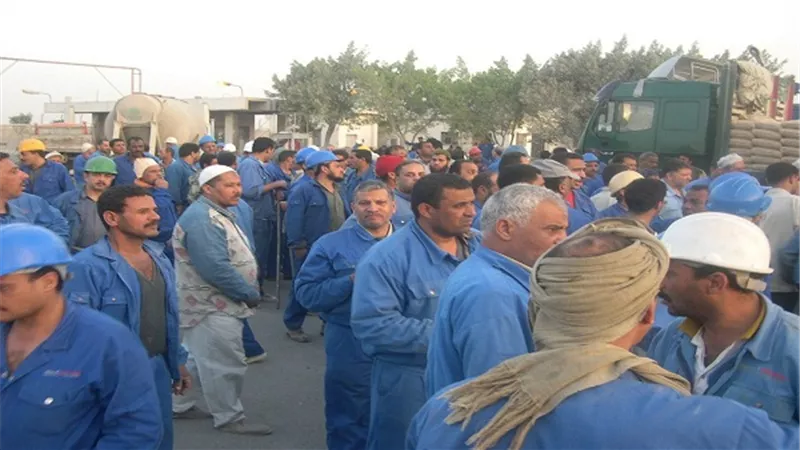 مؤسس 