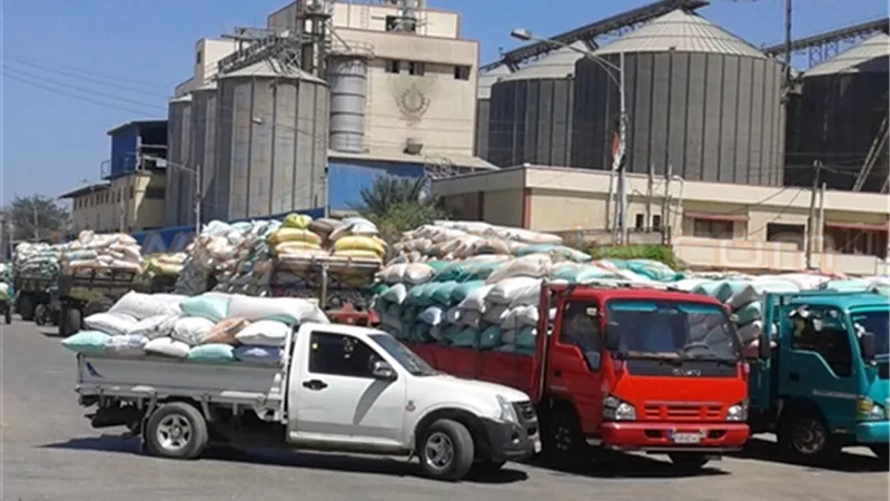وزير التموين: استلام 3 ملايين و600 ألف طن قمح من المزارعين