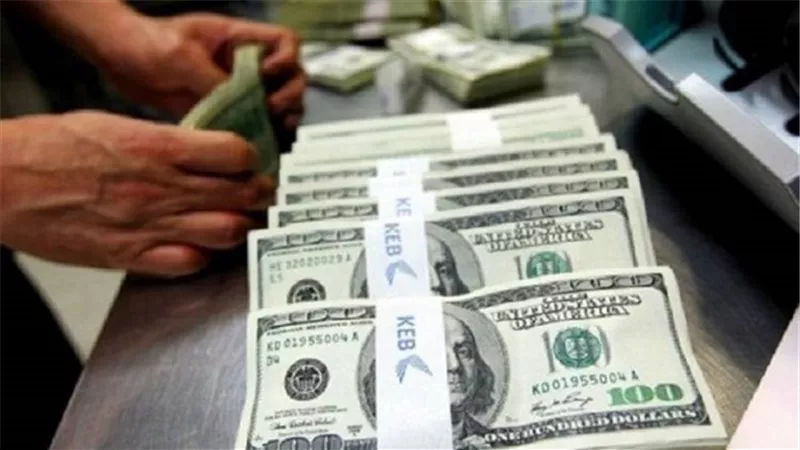 بالفيديو.. أستاذ اقتصاد: إصدار تشريع جديد يُجرّم تجارة الأفراد في العملة