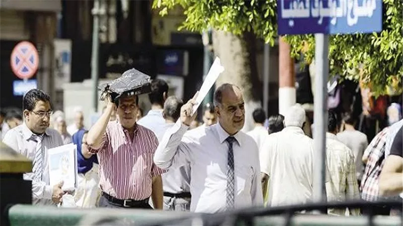 طقس اليوم مائل للحراراة والقاهرة 38 للعظمى 