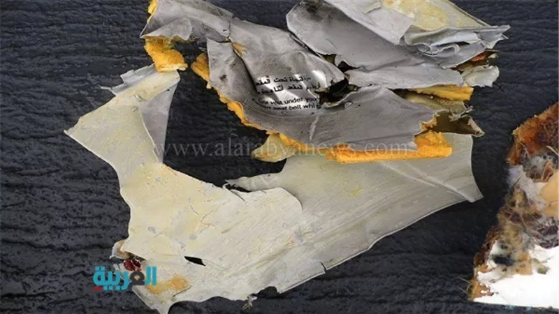 بالفيديو.. اللاوندي: الفرنسيون يحاولون تحويل مصر لجاني في أزمة الطائرة