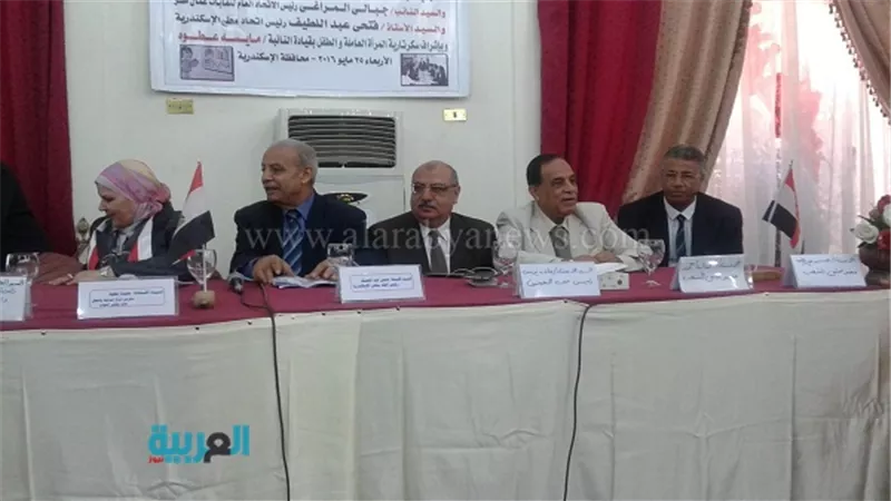 بالصور.. 