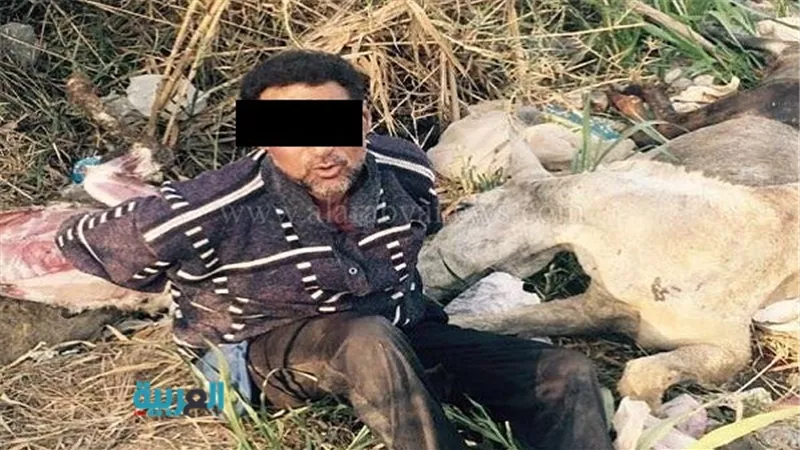 بالصور.. حبس عاطل يذبح 