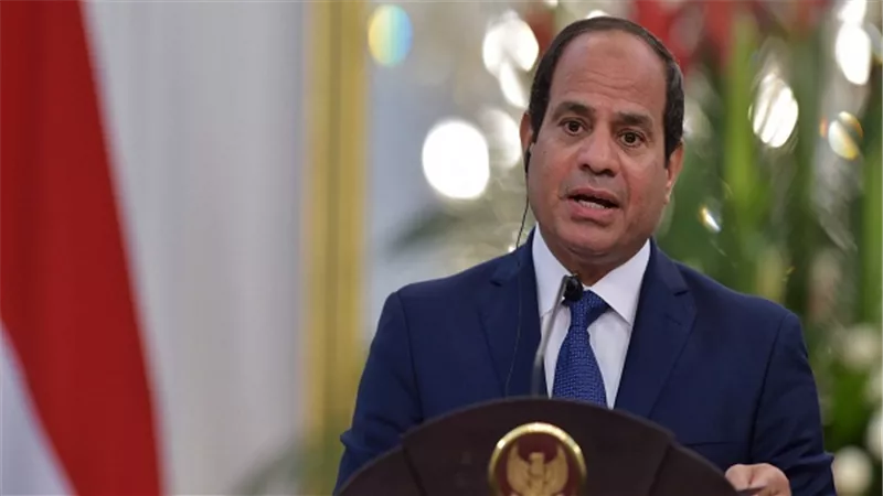 ننشر توصيات البرنامج الزراعي للتيار الديمقراطي المقدم للسيسي